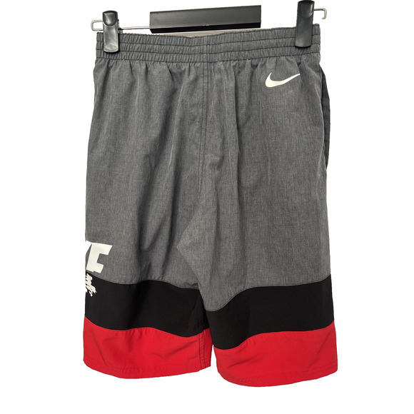 Nike Swim Men's Small Sunset Logo Vital 5" Volley Swim Short Surf Beach Summer - Picture 3 of 8